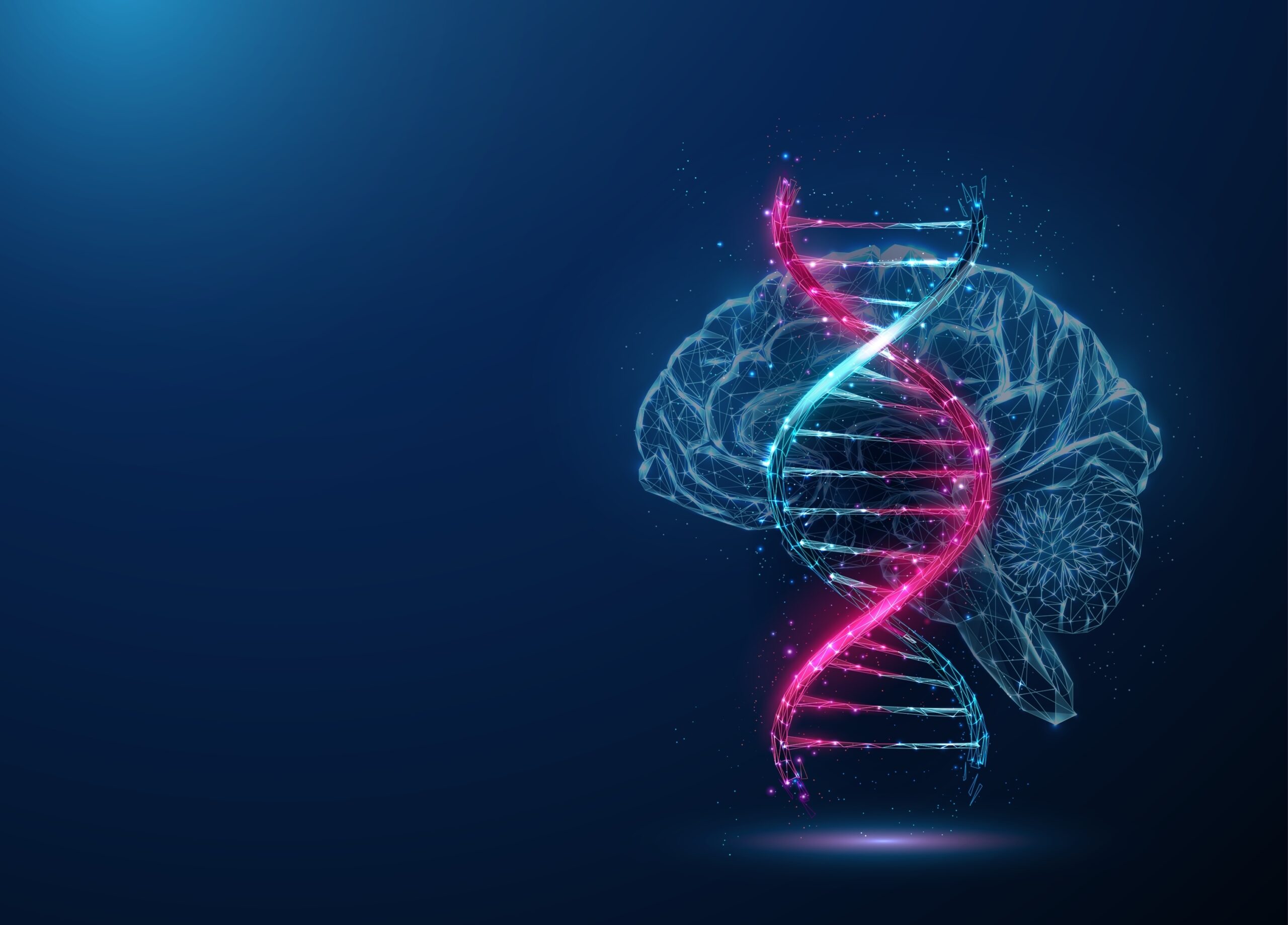 Vector of a human brain and a DNA strand